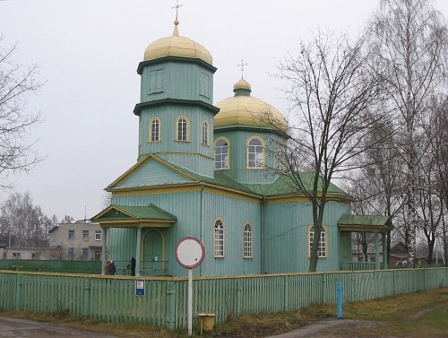 Купить Дом В Быхове Свежие