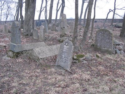 Нарочь (Мядел. р-н), кладбище еврейское