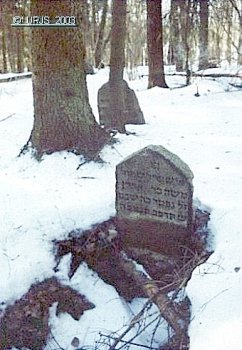 Обчуга, кладбище еврейское