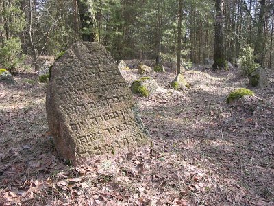Рясна (Дрибин. р-н), кладбище еврейское