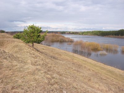 Селец (Лидский р-н), река Неман