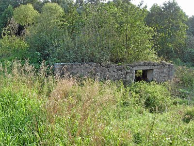 Староельня, водяная мельница (руины)