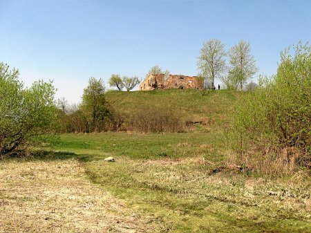 Свислочь могилевской осиповичского