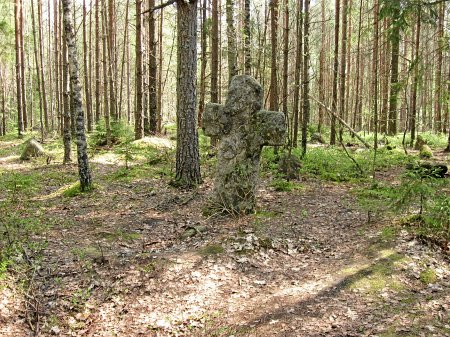 Заозерье фото белыничский район