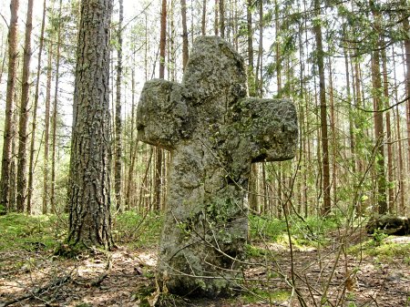 Заозерье фото белыничский район